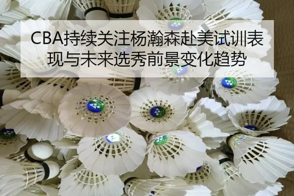 CBA持续关注杨瀚森赴美试训表现与未来选秀前景变化趋势